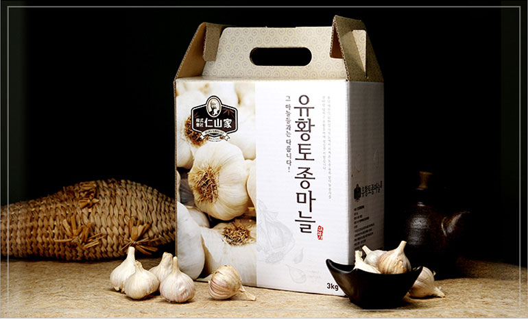 food16_2.jpg